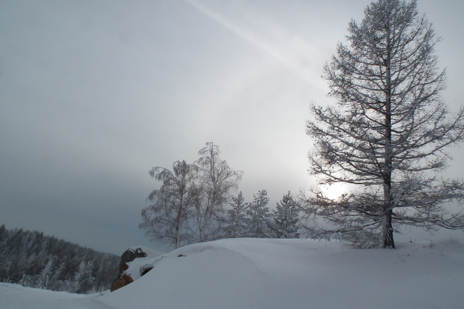 DSCF0487.jpg