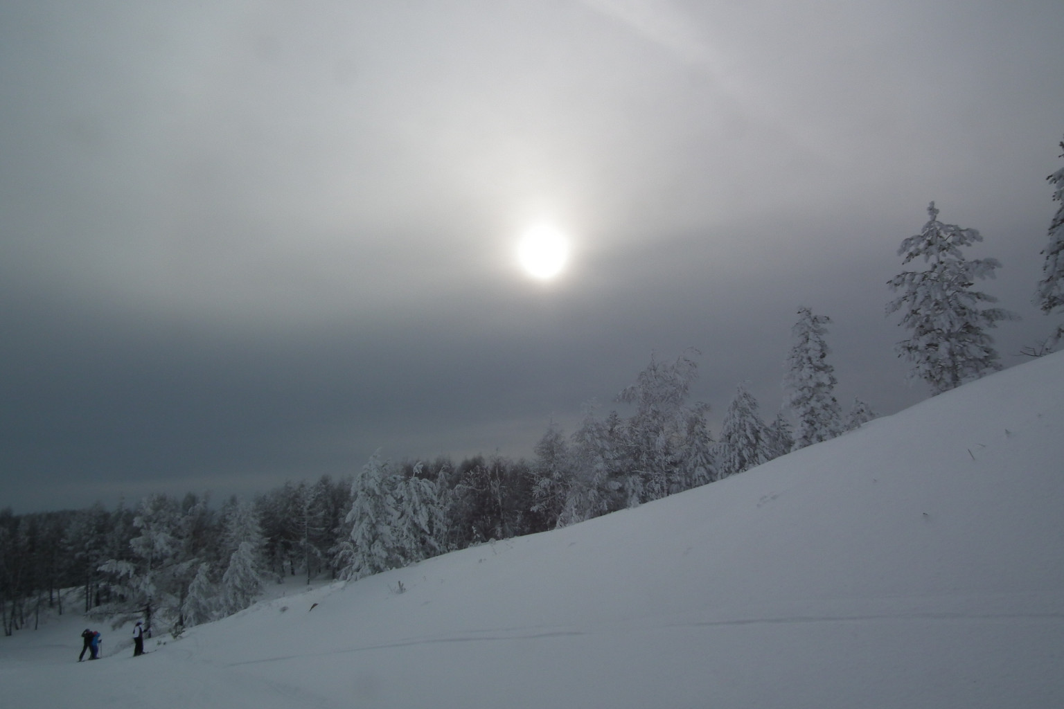 DSCF0488.jpg