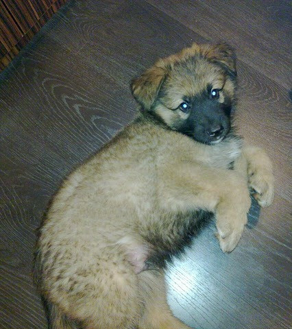 20110328_004.jpg