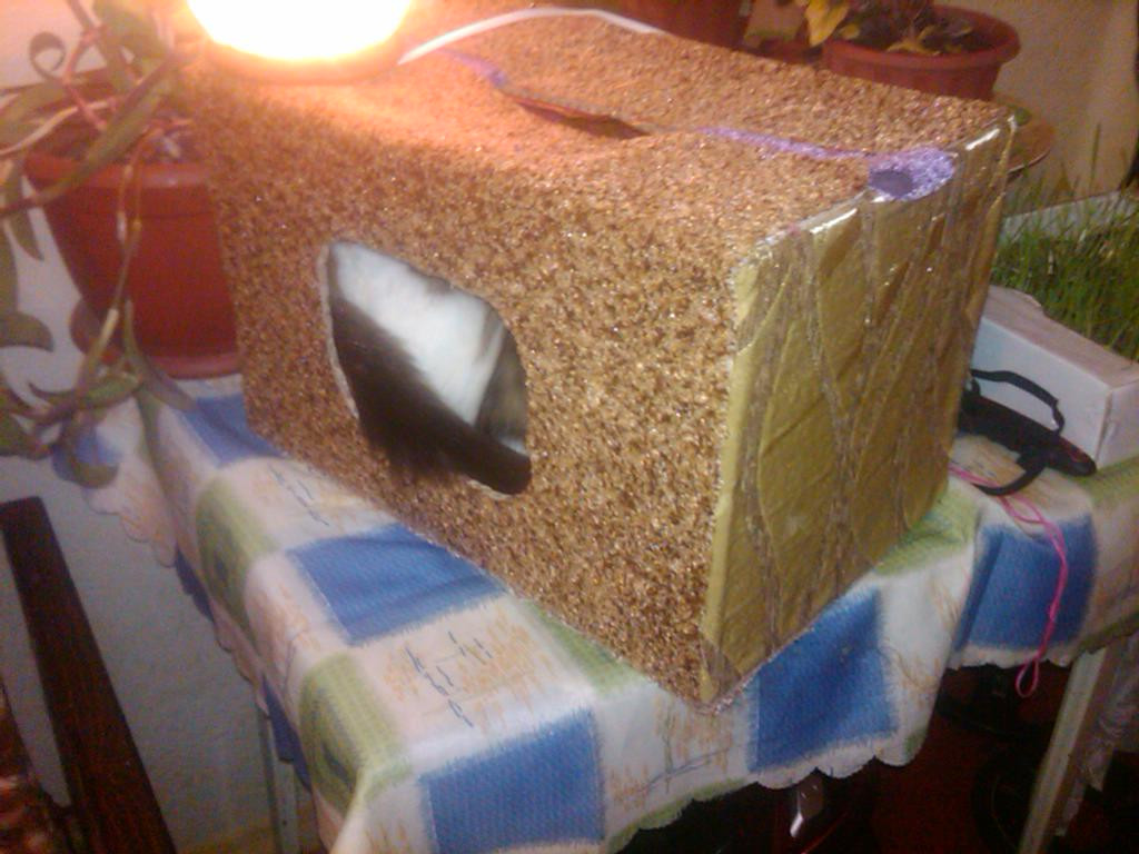 IMG00159-20110330-0058.jpg