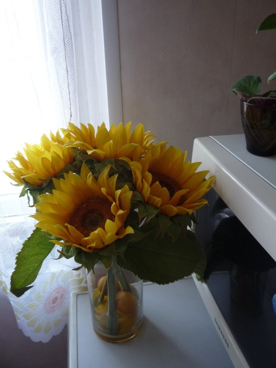 P1020380.JPG