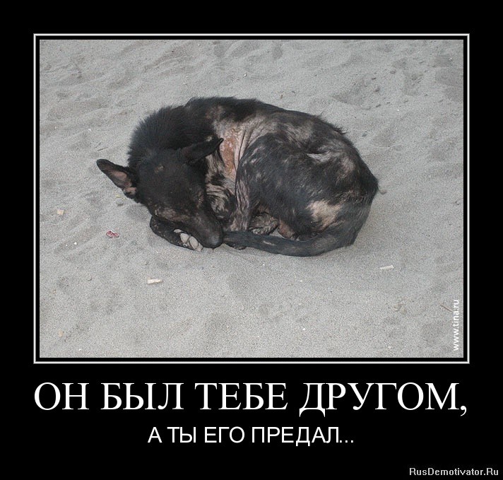 друг.jpg
