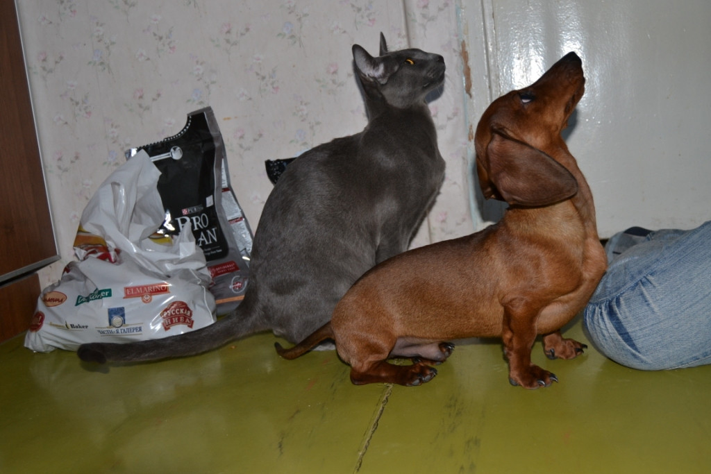 DSC_0834.JPG