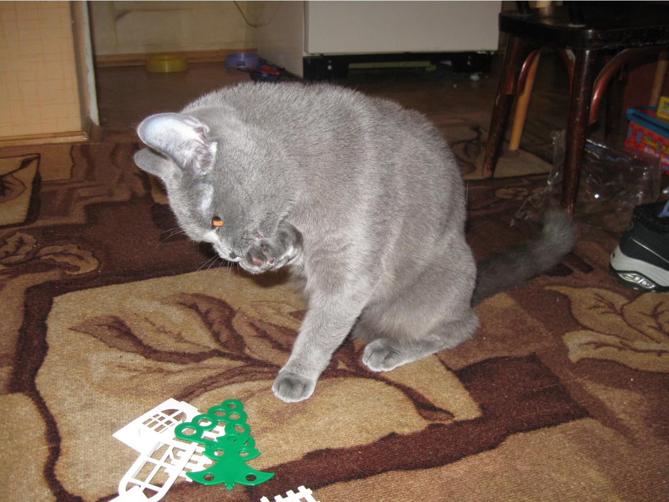 IMG_3887.jpg