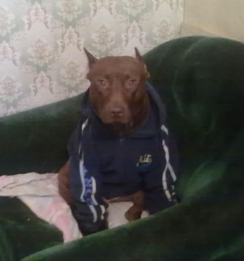 18022011001-001.jpg