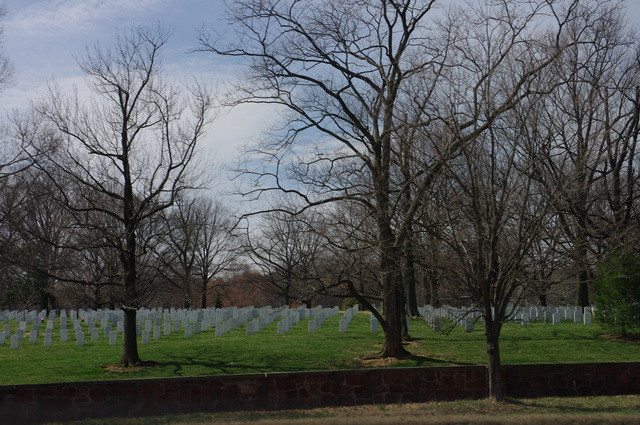 1_IMGP9274.jpg