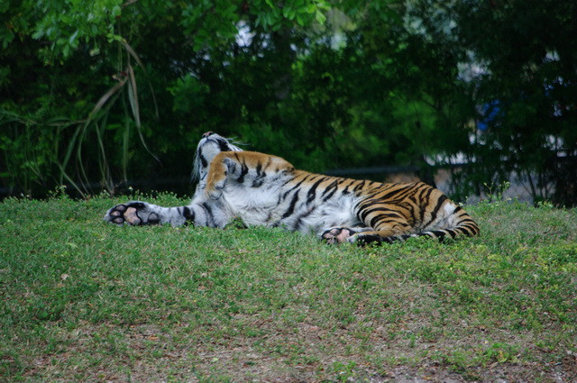 1_IMGP9498.jpg
