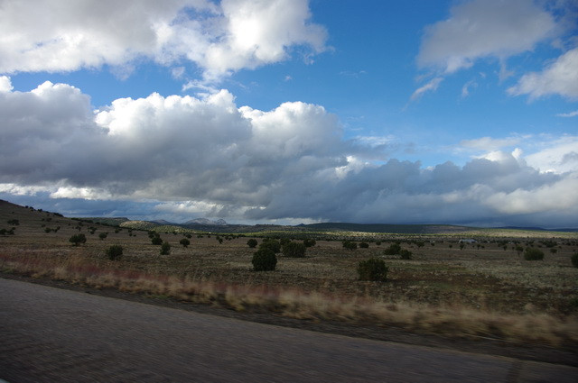 1_IMGP9917.jpg