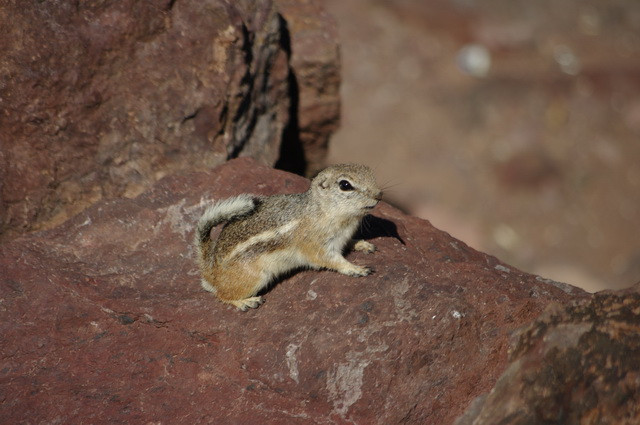 1_IMGP9972.jpg