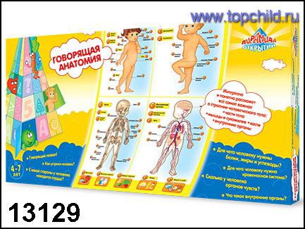 405,63 р.Говорящая анатомия (Премьер-игрушка) 084.jpg