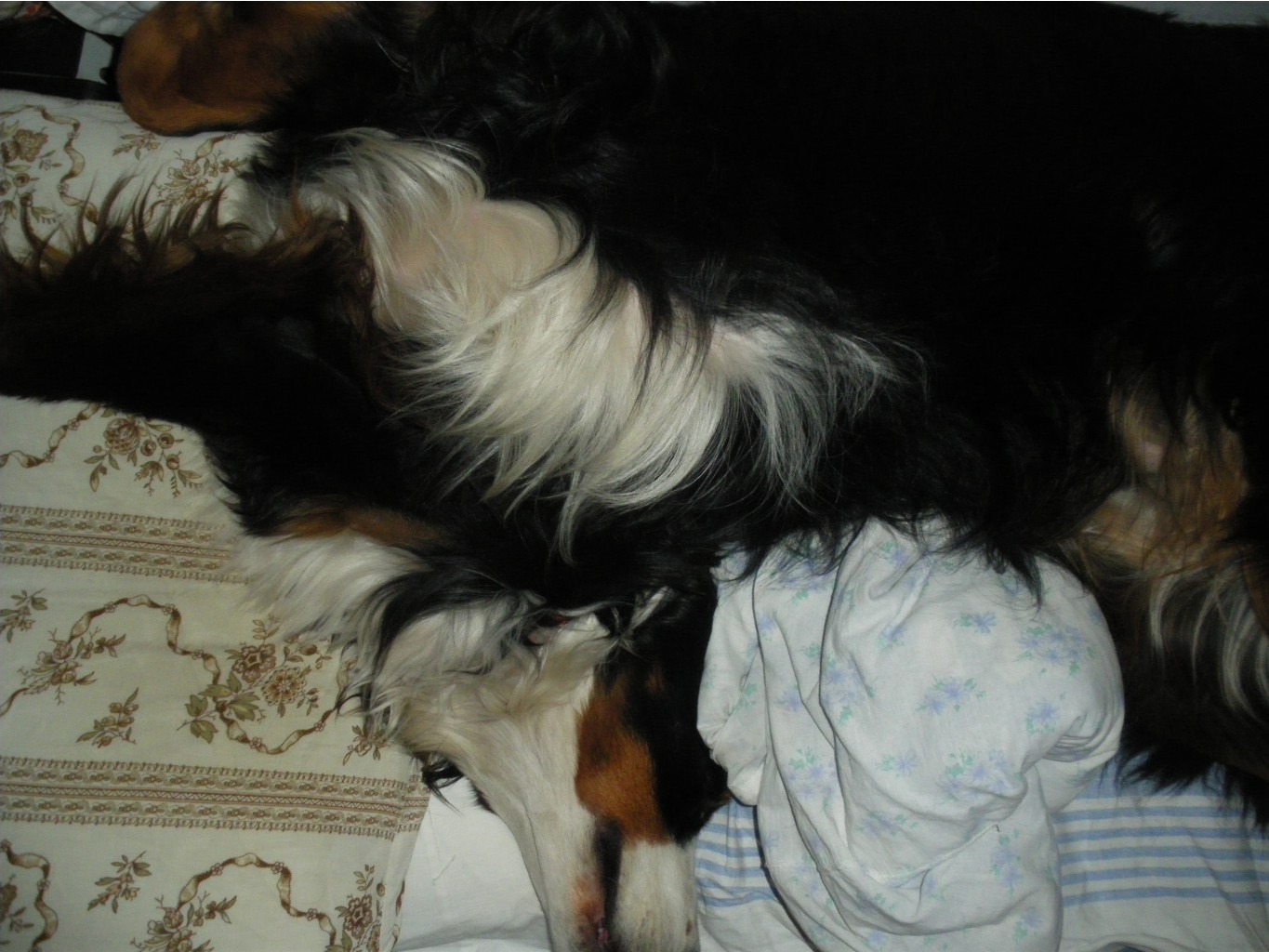 IMGP0973.JPG