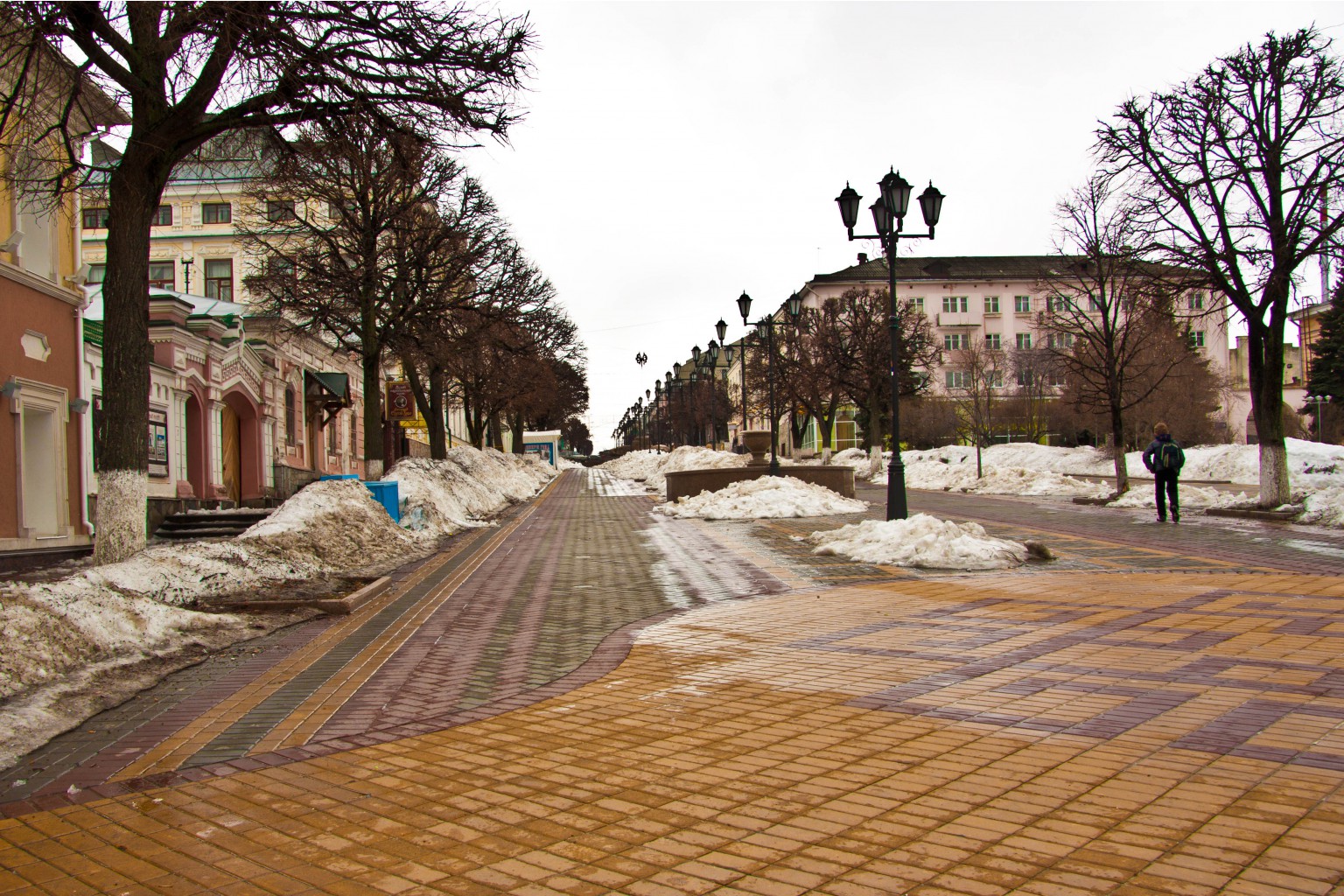 IMG_8673.jpg