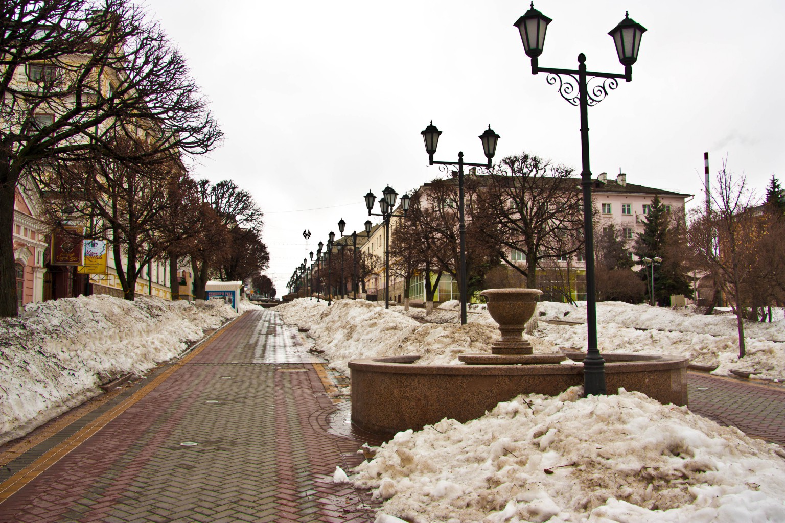 IMG_8675.jpg