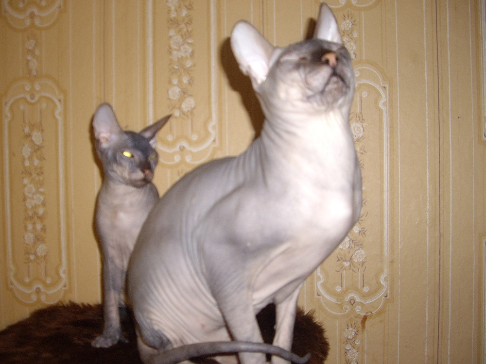 IMGP3430.JPG