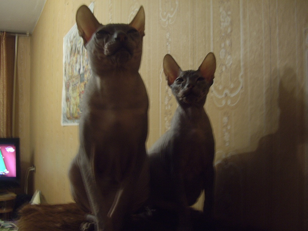 IMGP3448.JPG