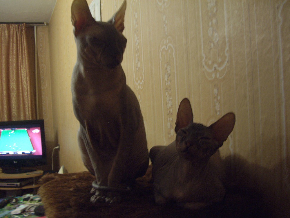 IMGP3453.JPG
