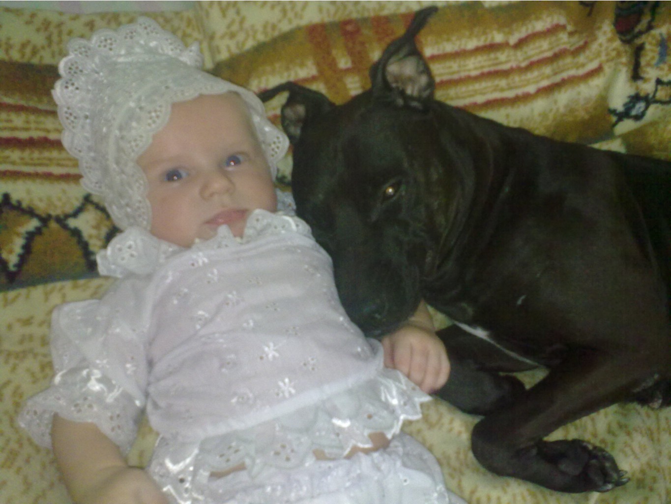 020420112387.jpg
