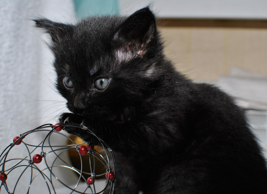 _DSC0556мин.jpg