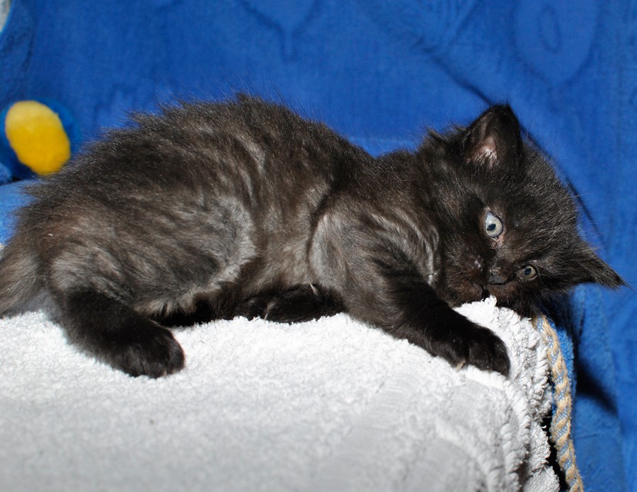 _DSC0570мин.jpg