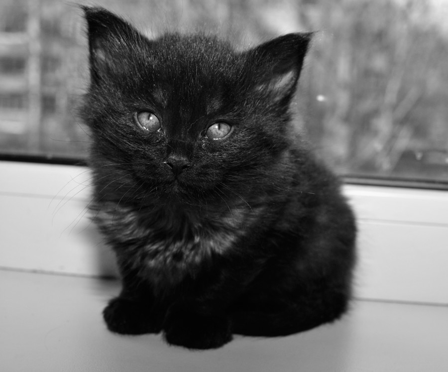 _DSC0575мин.jpg