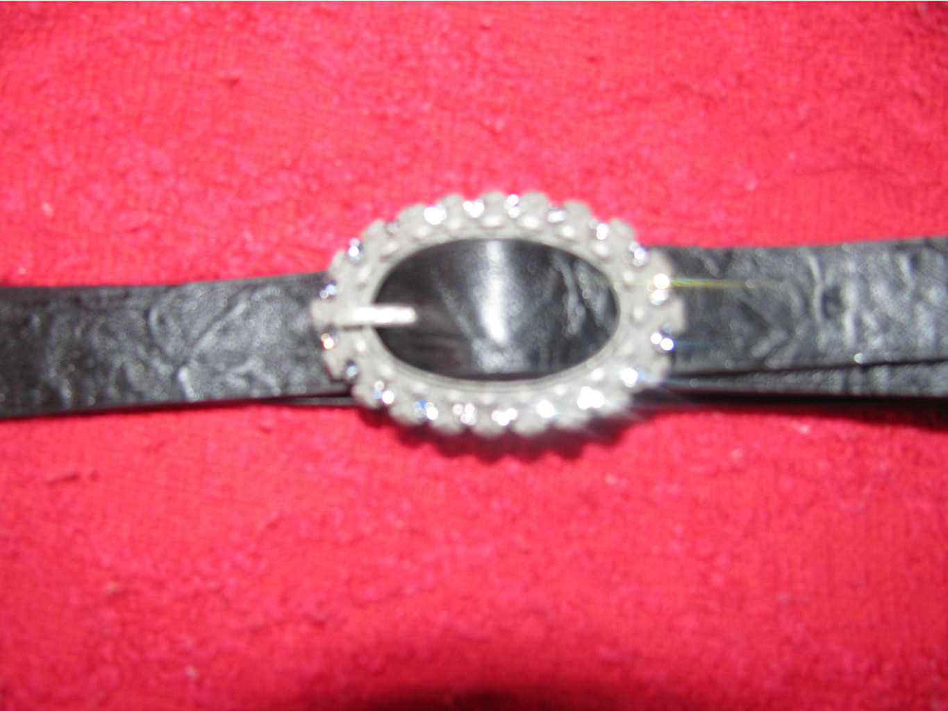  2010 009.jpg