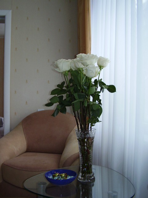 PC070061.JPG