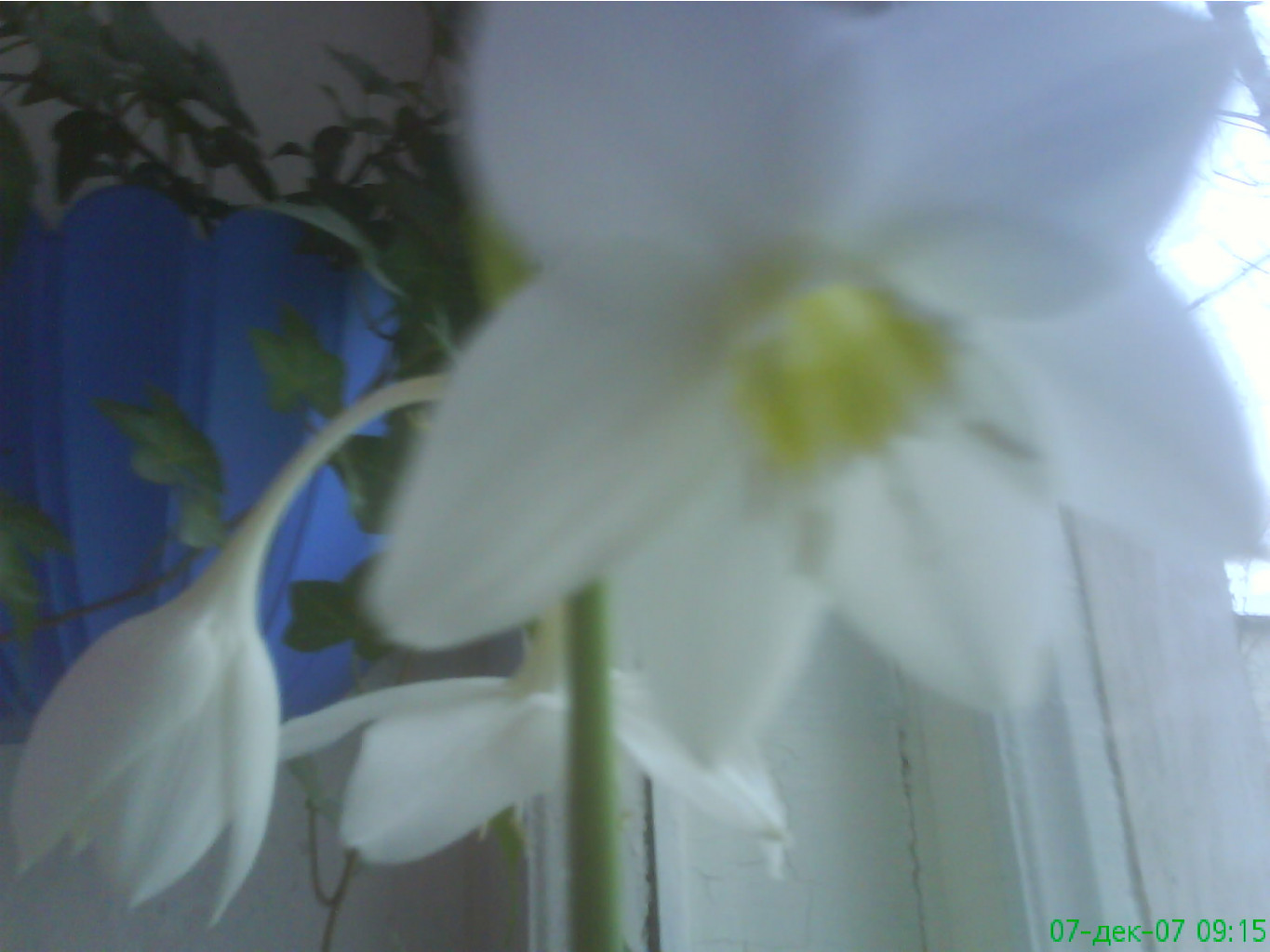 DSC01313.JPG