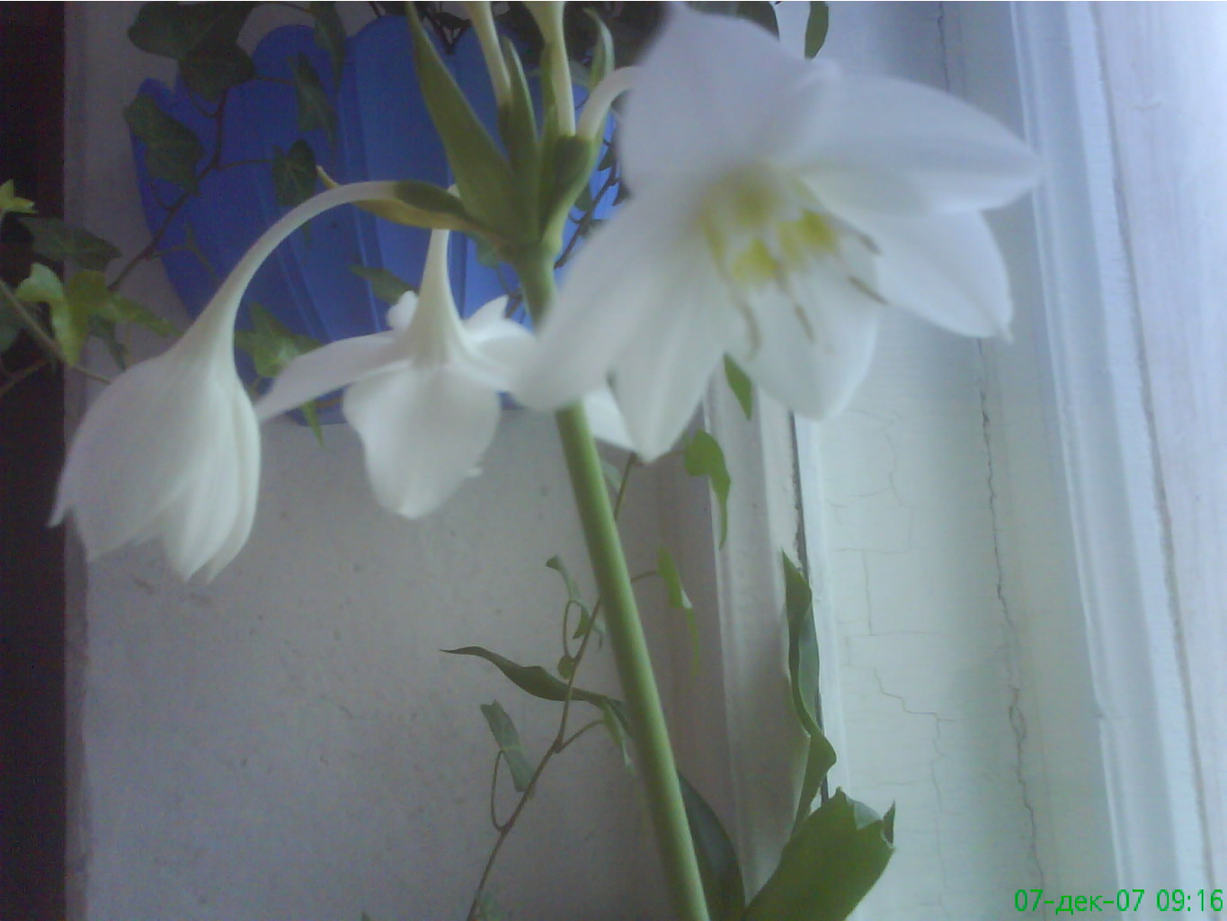 DSC01316.JPG
