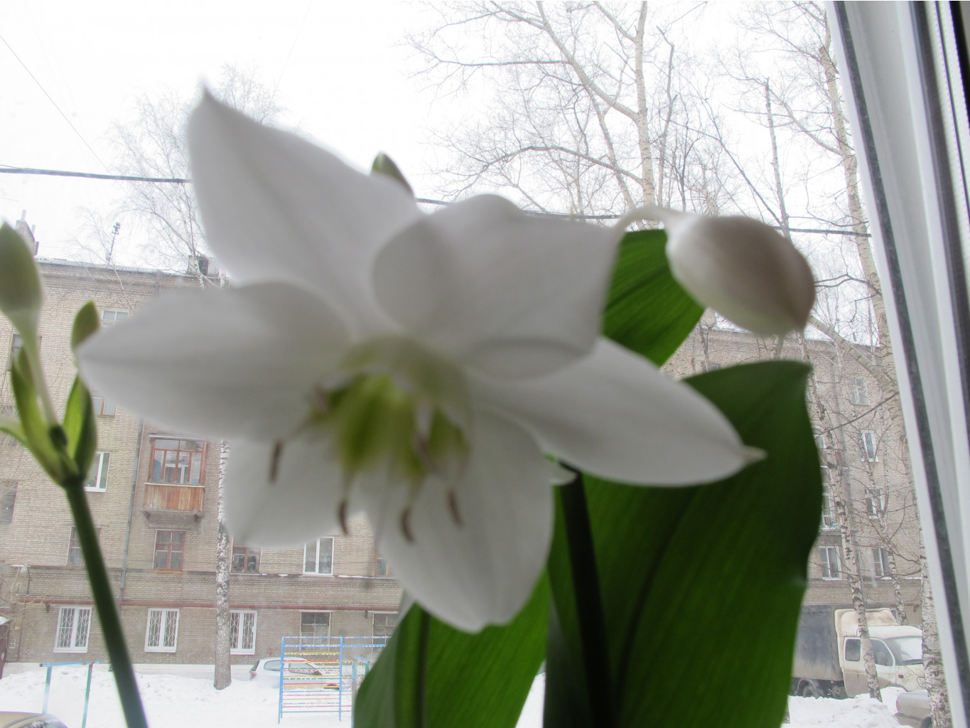 IMG_0206.JPG