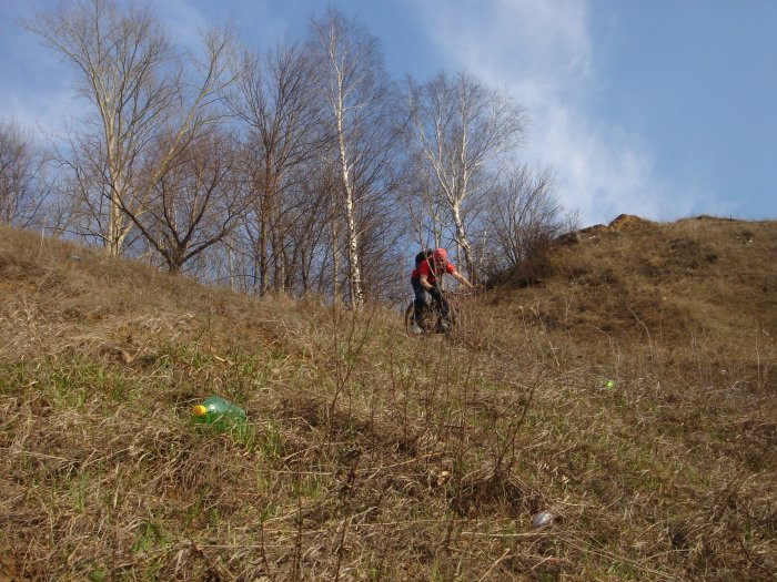 2407922.DSC00952.jpg
