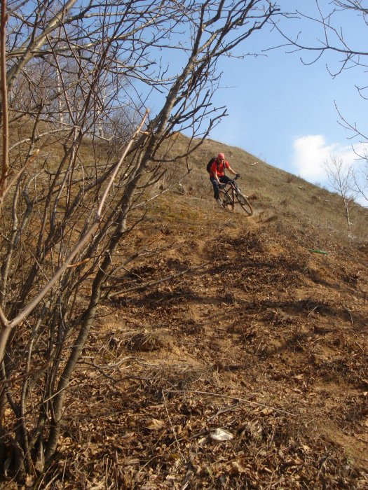 2407934.DSC00962.jpg