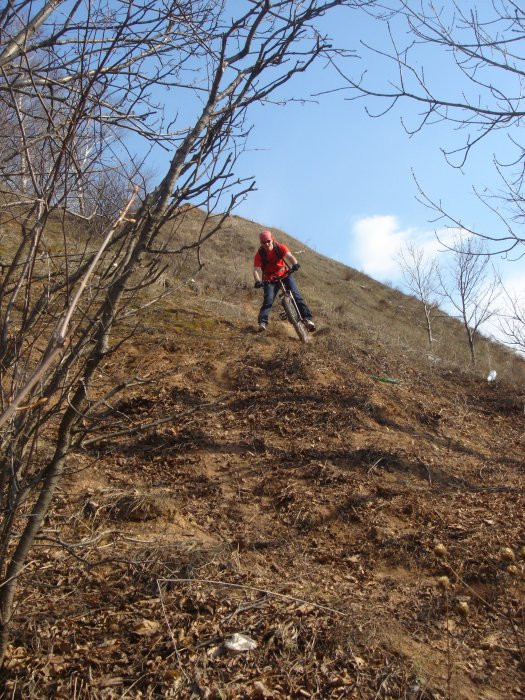 2407935.DSC00963.jpg