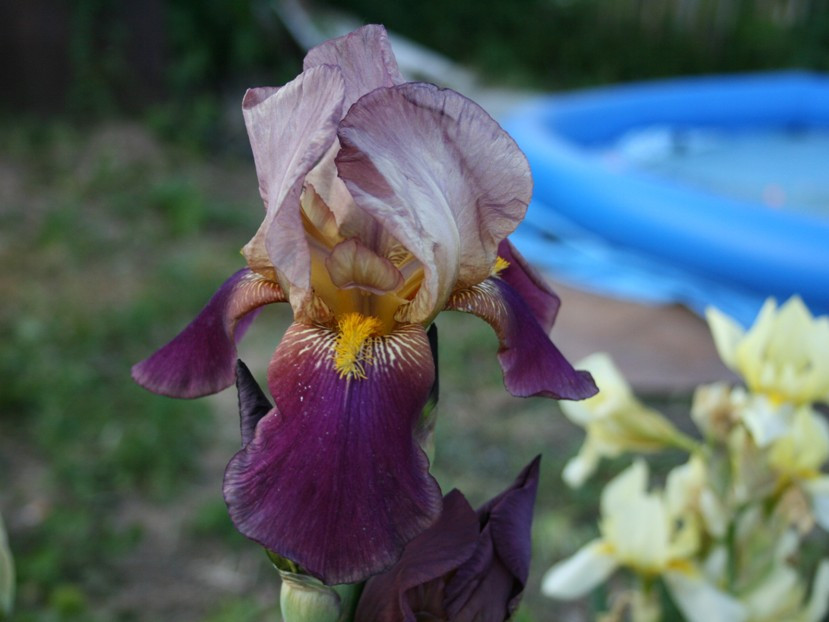 Recovered_JPEG Digital Camera_6247.jpg