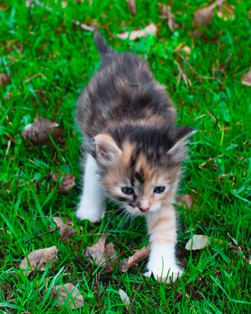 _DSC0591мин.jpg