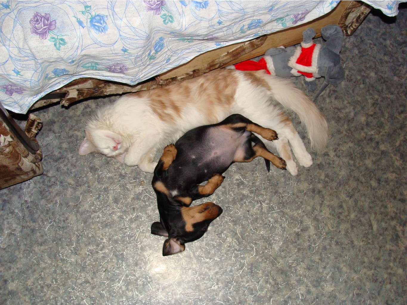 DSC02182.JPG