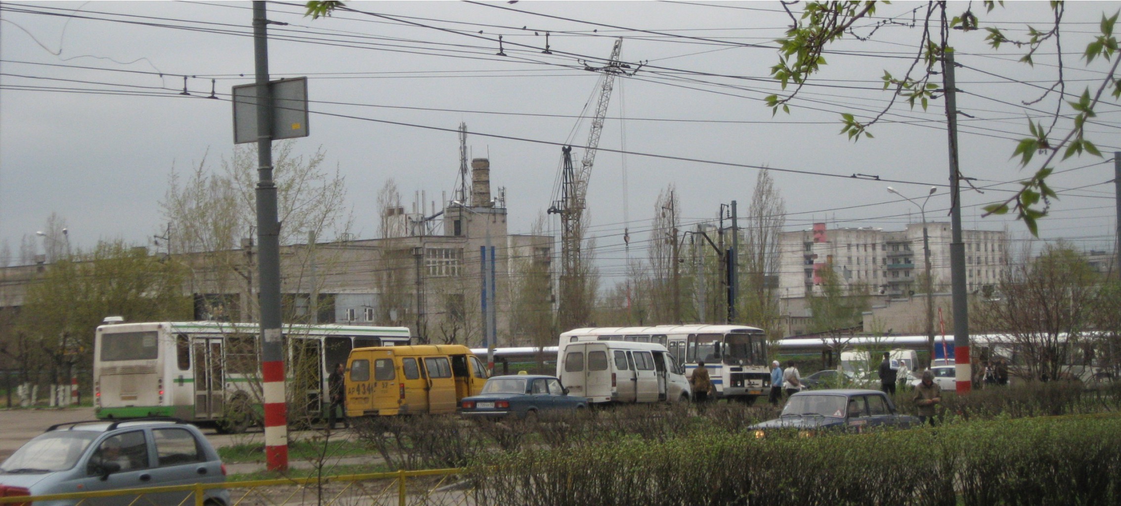 35217078-img_3675p.jpg