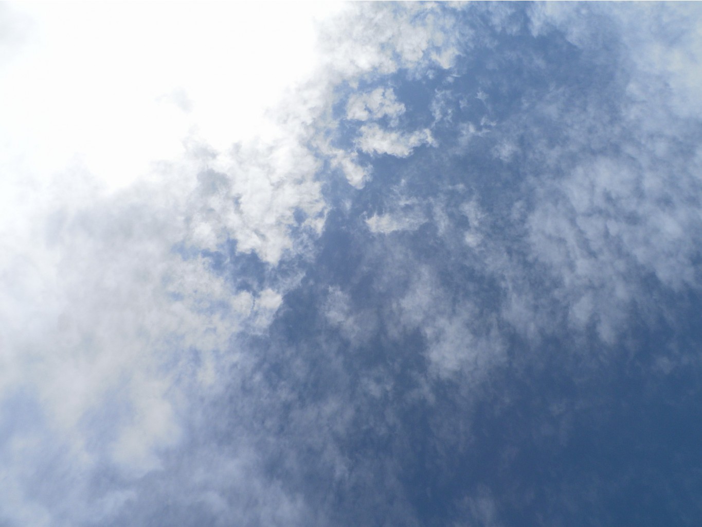 Resize of SAM_1846.JPG