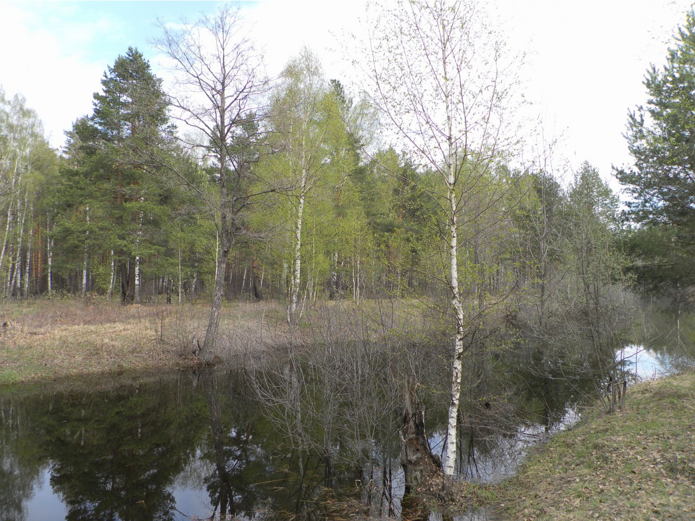 Resize of SAM_1857.JPG