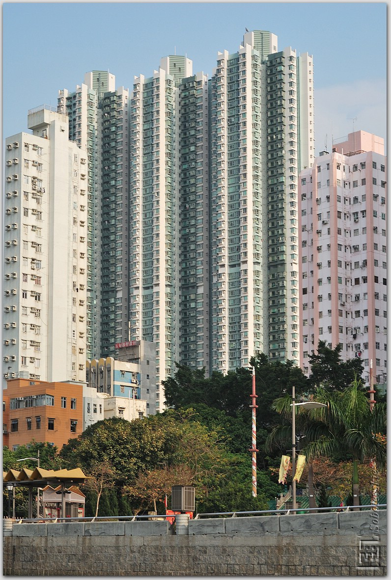 DSC_0118.jpg