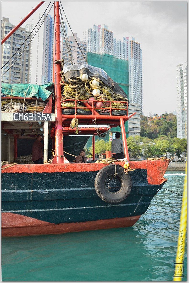 DSC_0135.jpg