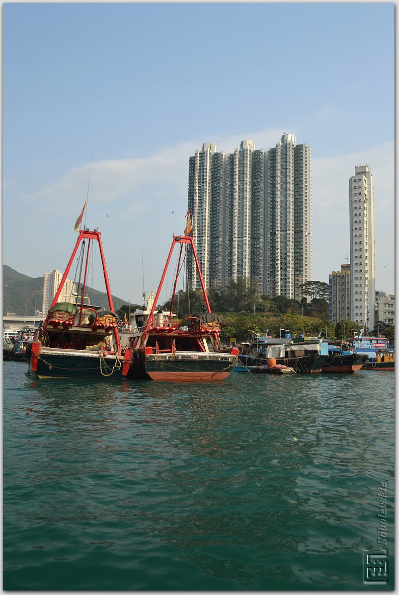 DSC_0156.jpg