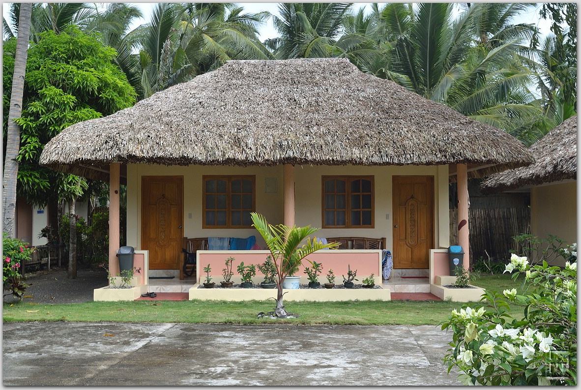 DSC_0438.jpg