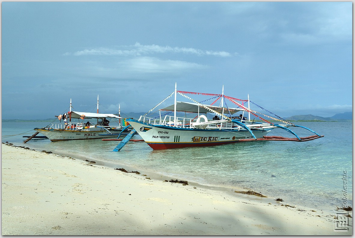 DSC_0826.jpg