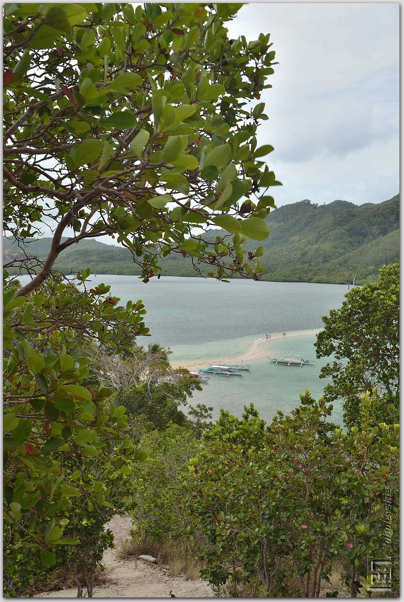 DSC_1073.jpg