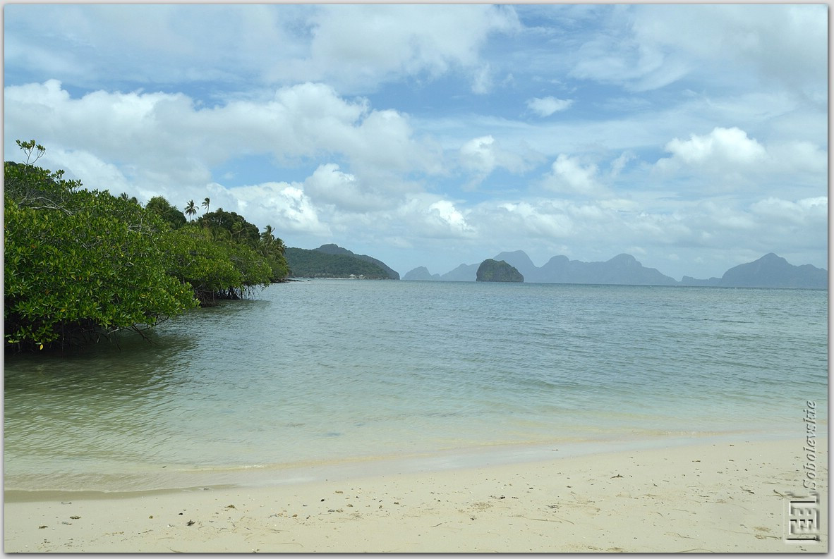 DSC_1104.jpg