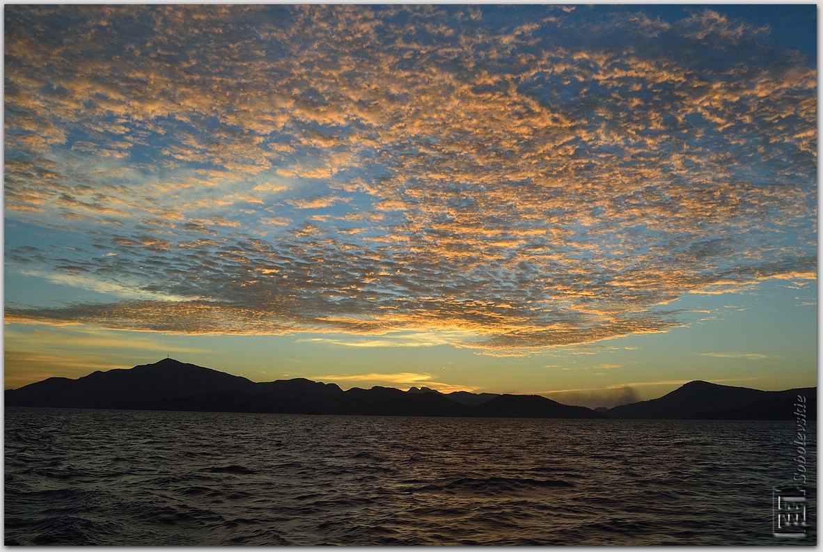 DSC_1212.jpg