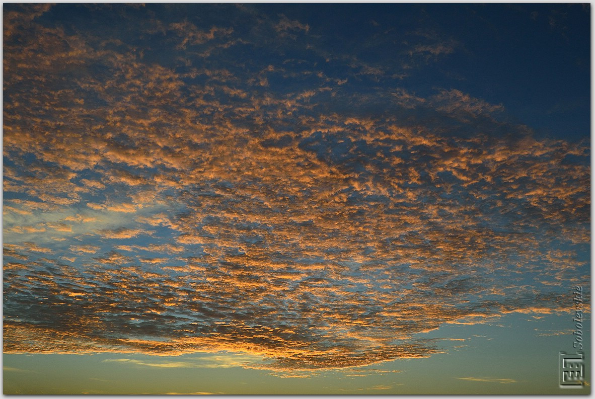 DSC_1217.jpg