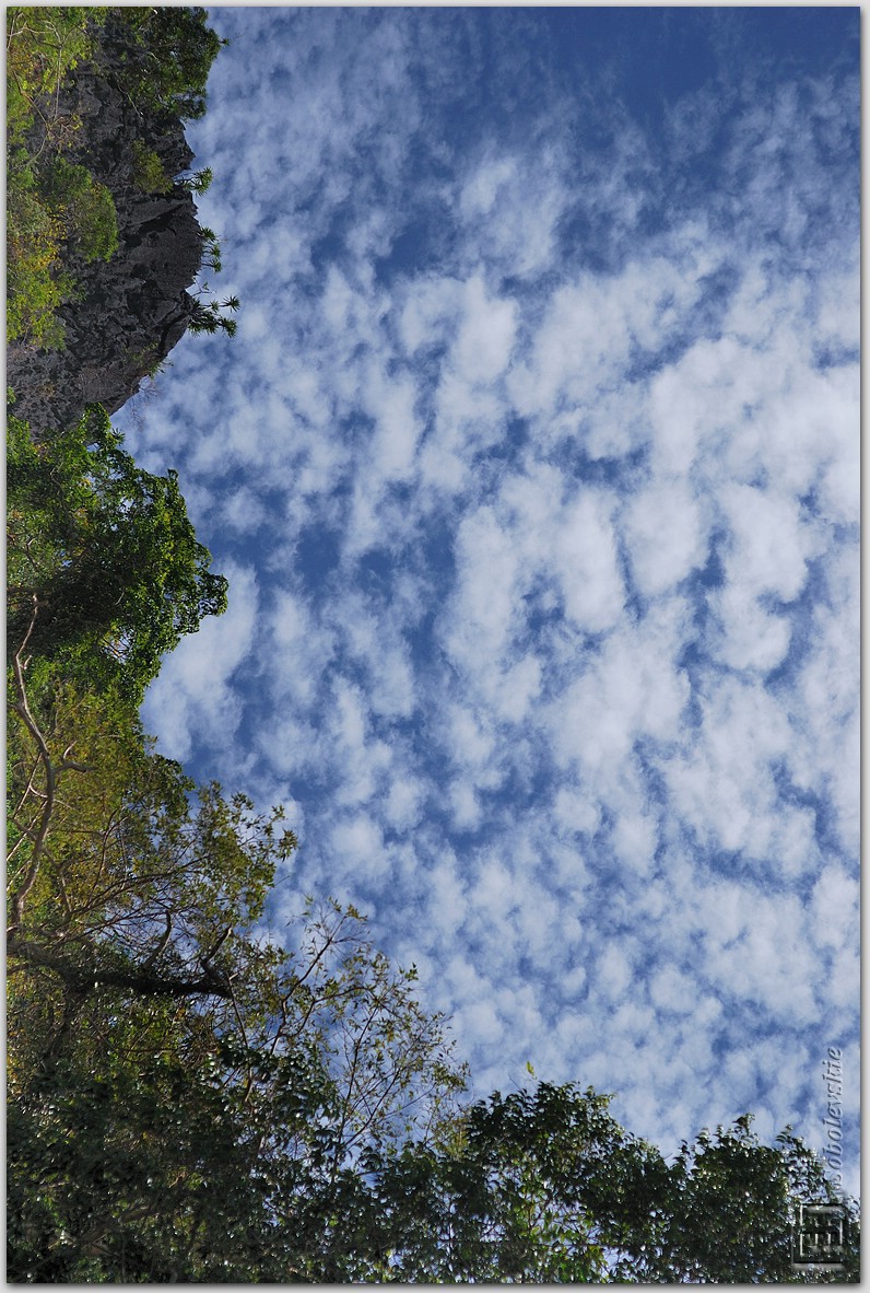 DSC_1290.jpg
