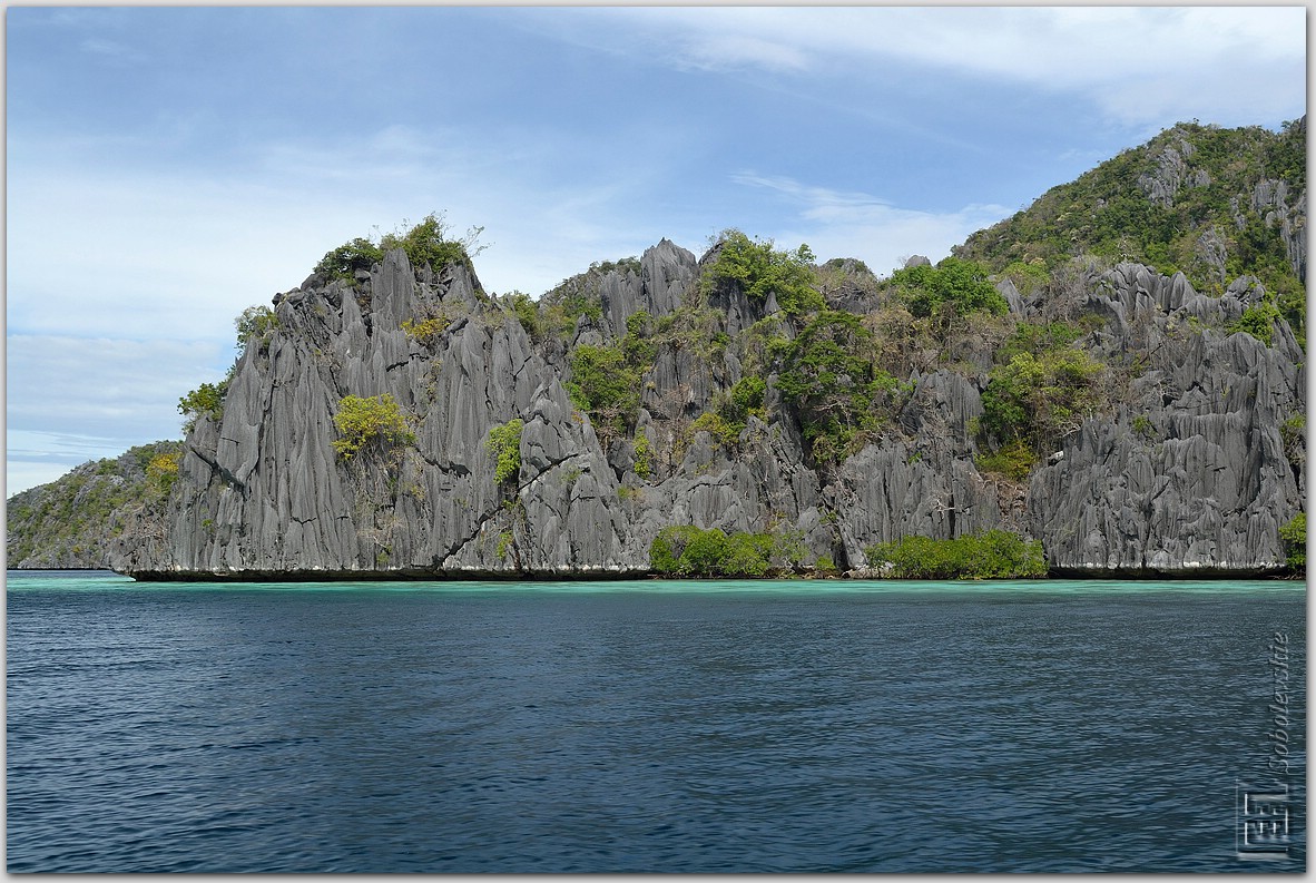 DSC_1296.jpg