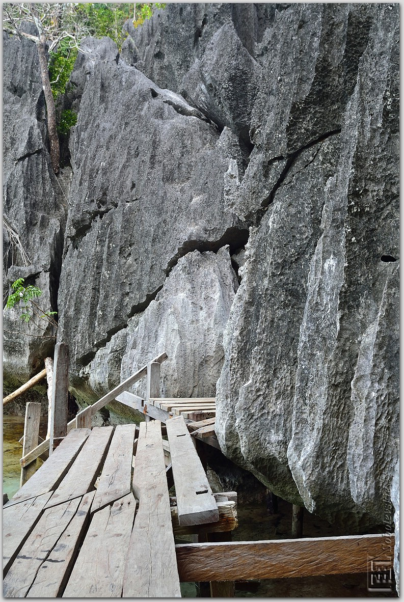 DSC_1304.jpg